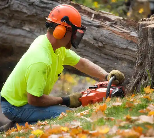 tree services Gallup